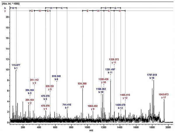 The sequence map of m/z 1,945.07.