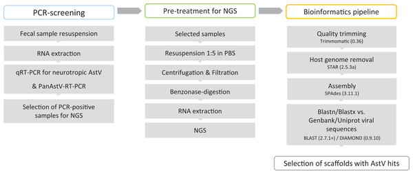 Virus discovery workflow in small ruminants’ fecal samples.