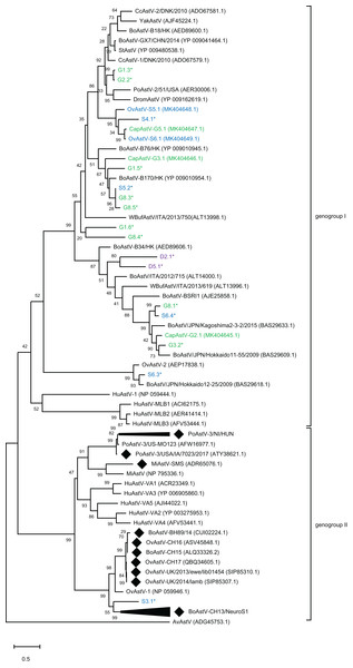 Phylogenetic analysis of novel small ruminant astroviruses.