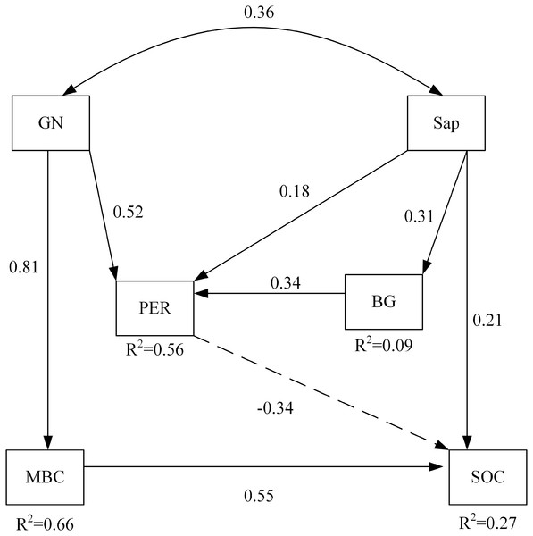 The structural equation model depicting the regulation of soil carbon by enzyme activities and the soil microbial community under the combined effects of nitrogen addition and plant inputs removal.