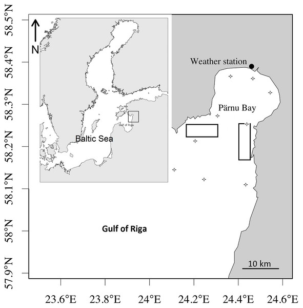 Rectangles showing the area of herring commercial catches and data sampling.