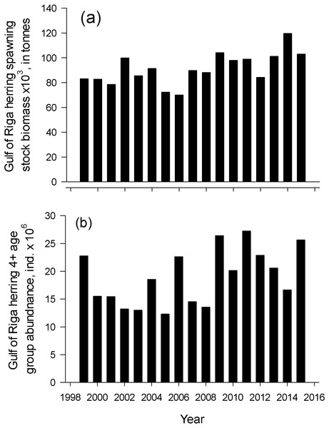 Dynamics of spawner biomass and abundance of age 4-10+.
