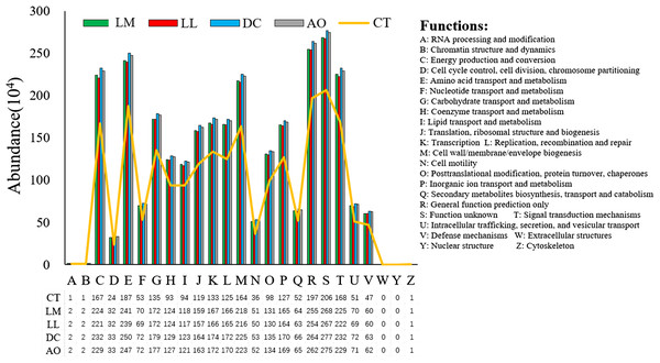 The abundance of functions inferred by PICRUSt in the soil samples under different land consolidation practices.