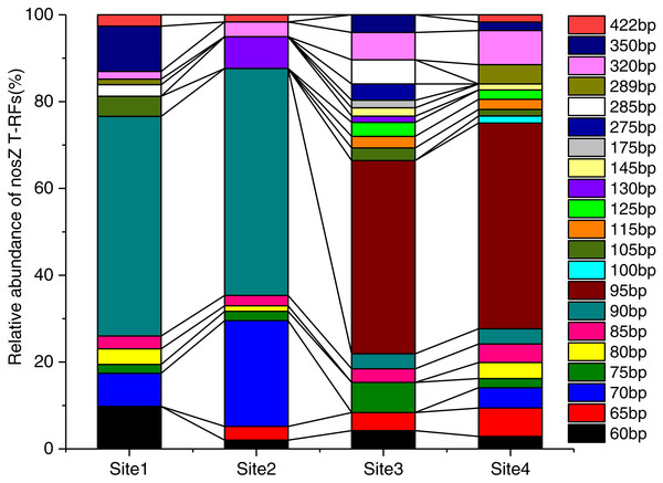 The community composition of nosZ-denitrifiers at different soil successional stages.