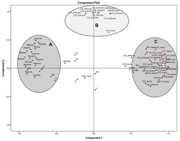 Principal components analysis (PCA) plot of morphometric measurements and concentration of nutrients (on dry matter basis) of the combined (male plus female) whole X. laevis body composition data.