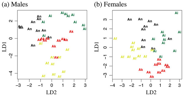 Linear discriminant function analyses of 11 log transformed morphometric measurements.