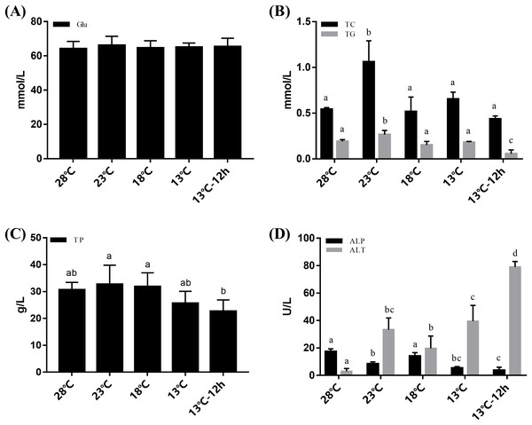 Investigating the physiological responses of Pacific white shrimp ...