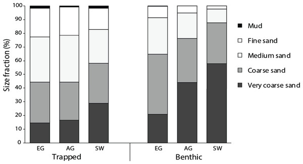 Particle size data from the sediment traps and the benthos at EG, AG and SW.