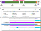 Differential expression of AtWAKL10 in response to nitric oxide ...