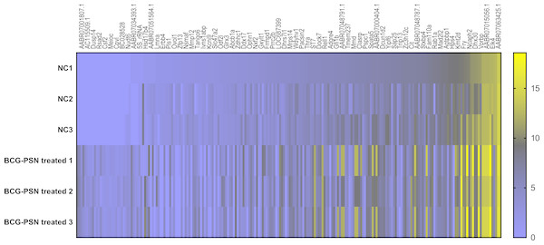 Heatmap analysis of differentially expressed mRNA levels.