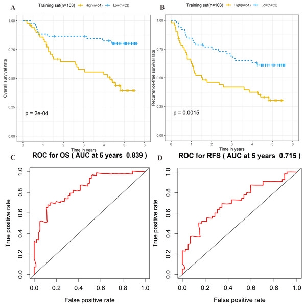 Prognostic significance evaluation of four-lncRNA signature for overall survival (OS) and recurrence-free survival (RFS) in the training set.