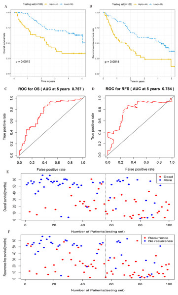 Prognostic performance of four-lncRNA signature on overall survival(OS) and recurrence-free survival(RFS) in the testing set.