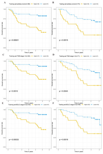 Kaplan–Meier curves of the overall survival for high-risk and low-risk patients with different clinical characteristics in training set and testing set.