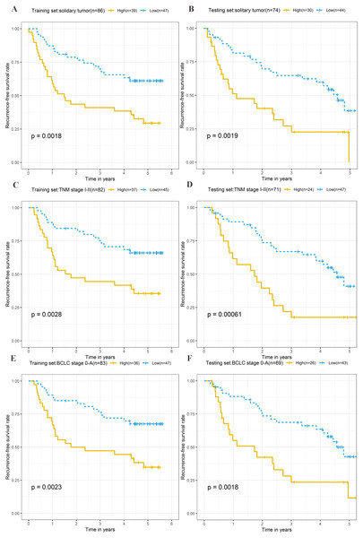 Kaplan–Meier curves of the recurrence-free survival for high-risk and low-risk patients with different clinical characteristics in training set and testing set.