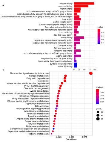 Identification of a novel four-lncRNA signature as a prognostic ...