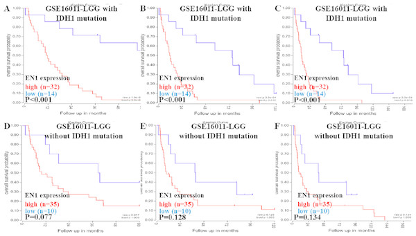 Kaplan-Meier curves of OS in LGG patients with or without IDH1 mutation in GSE16011.