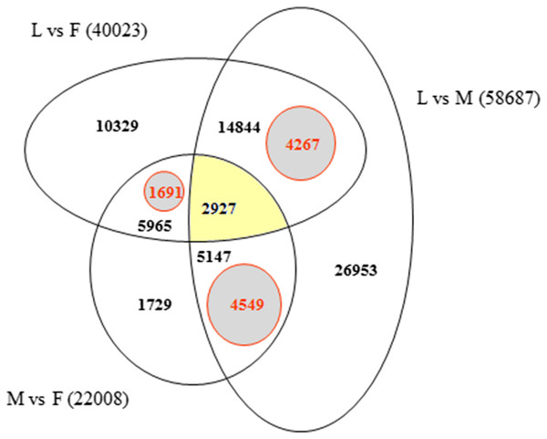 Venn diagram indicating the number of exclusive and shared transcripts in wild growing male (M), female (F) flowers and leaf (L) samples.