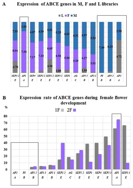 Expression differences between ABCE genes.