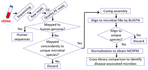 Workflow of cfDNA sequencing andcross-microbial species comparison.