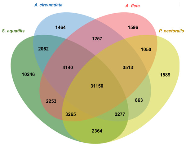 Venn diagram of annotated unigenes among four firefly species.