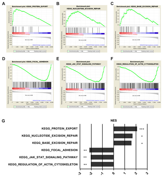 Gene Set Enrichment Analysis of ARHGAP10 in breast cancer.