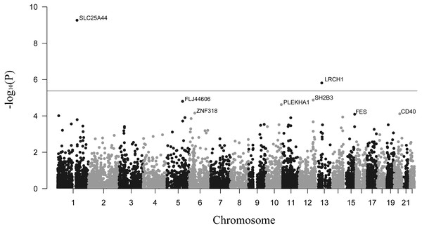 Manhattan plot showing genes associated with stroke.