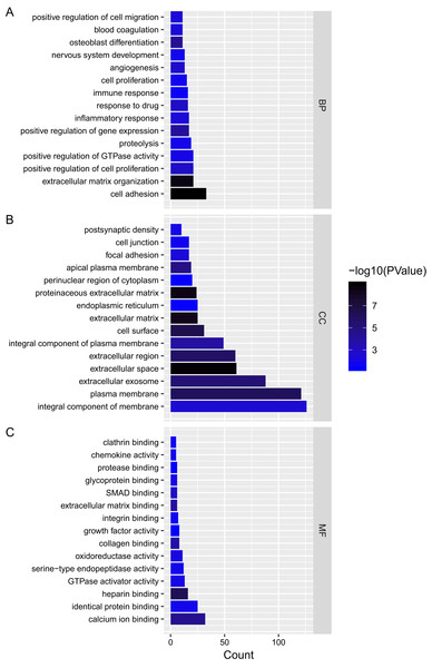 Gene ontology analysis of mRNAs in ceRNA network.