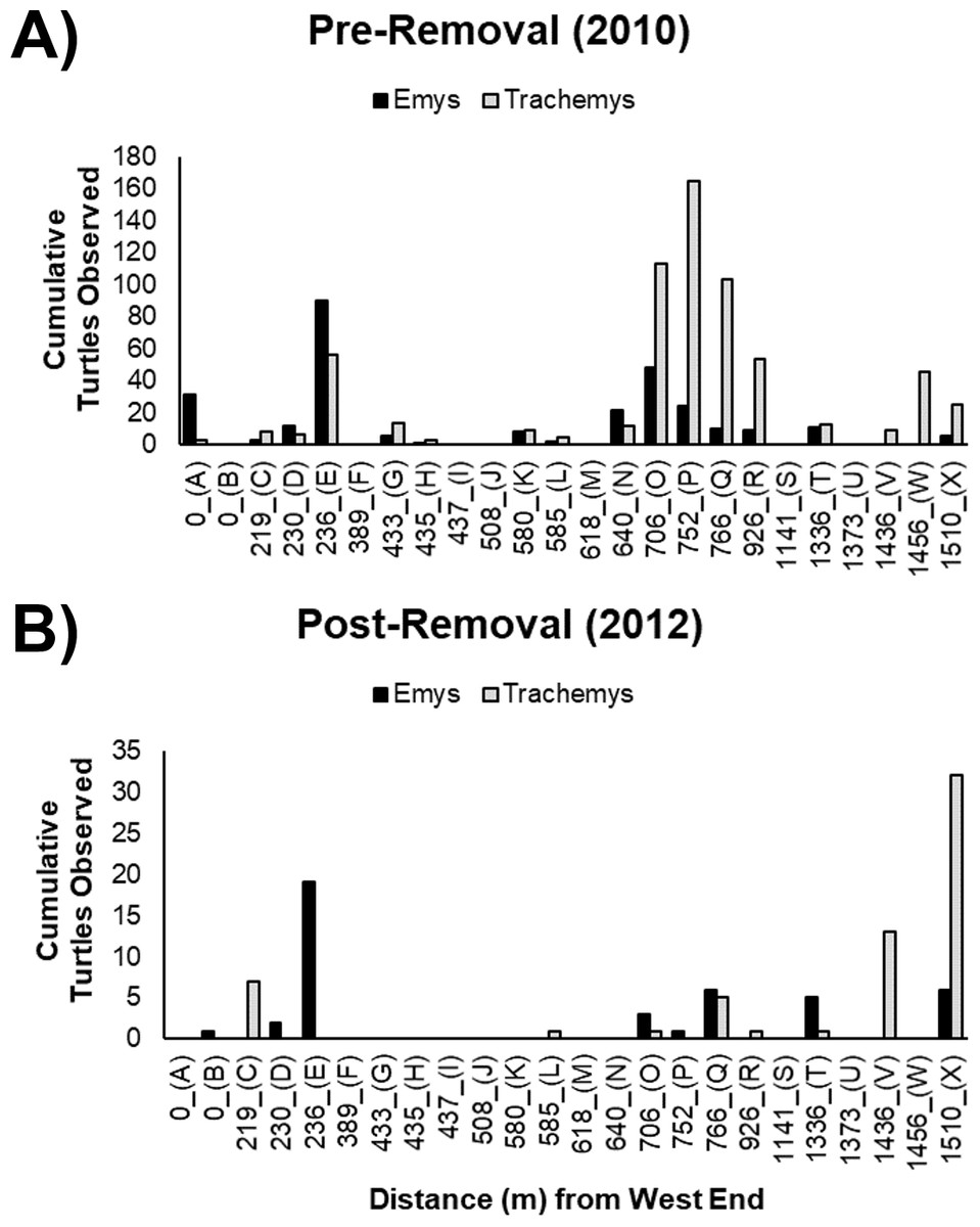 Experimental Removal Of Introduced Slider Turtles Offers New Insight Into Competition With A Native Threatened Turtle Peerj