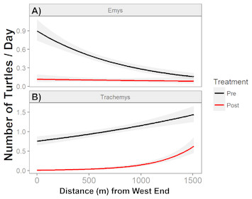 Experimental Removal Of Introduced Slider Turtles Offers New Insight ...