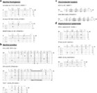 First-tier detection of intragenomic 16S rRNA gene variation in ...