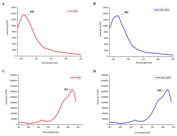Analysis of fluorescent spectrum of MG and MG-MSN. (A) and (B) represents the photoluminescence emission spectra and (C) and (D) represents photoluminescence excitation spectra.