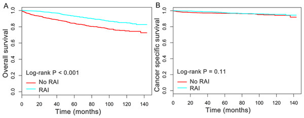 Overall survival (OS) and Cancer-specific survival (CSS) curves plotted by Kaplan-Meier method for patients received RAI therapy or not.