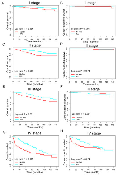 Overall survival (OS) and cancer-specific survival (CSS) curves plotted by Kaplan-Meier method for I stage (A, B), II stage (C, D), III stage (E, F) and IV stage (G, H) patients.