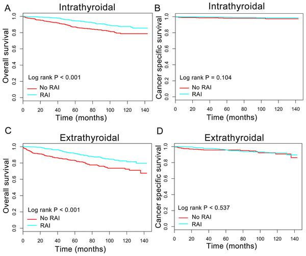 Overall survival (OS) and cancer-specific survival (CSS) curves plotted by Kaplan-Meier method for patients with or without extrathyroidal invasion.