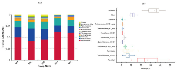 Dominant bacterial phylum in individual samples and the shared genera across the ruminal samples.