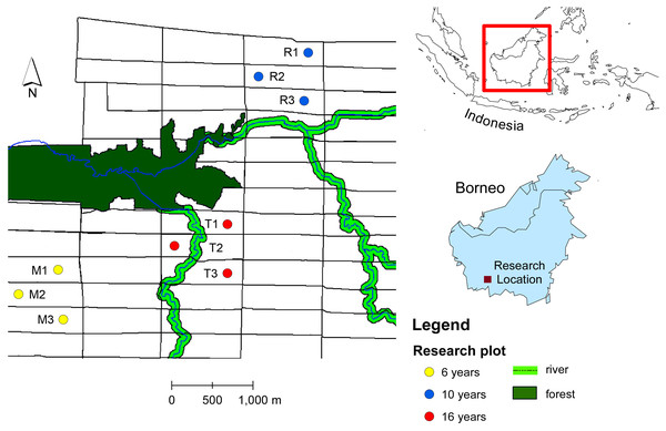 Map of study sites in oil plantation in Central Borneo, Indonesia.