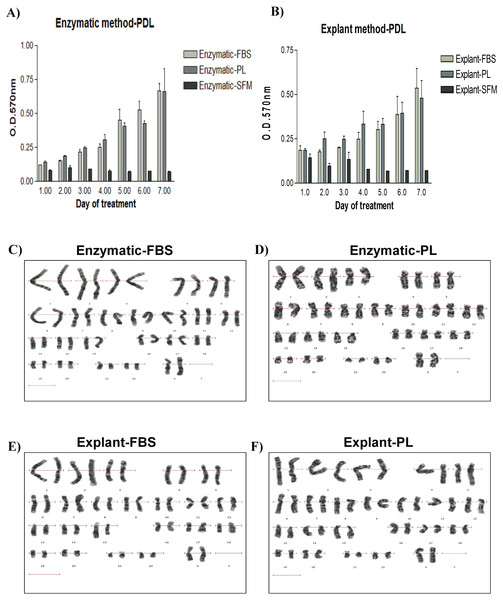 Evaluation of the proliferation potential and genetic stability of PDLSCs.