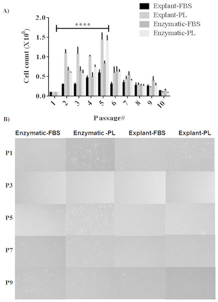 Evaluation of stemness characteristics of PDLSCs.