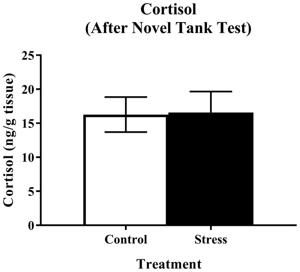 Measure of zebrafish neuroendocrine function after the novel tank test.