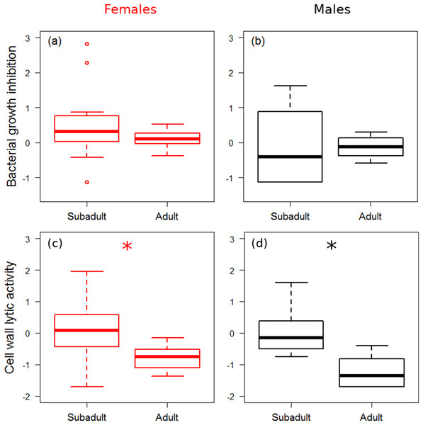 Immune function across ontogenetic stages.