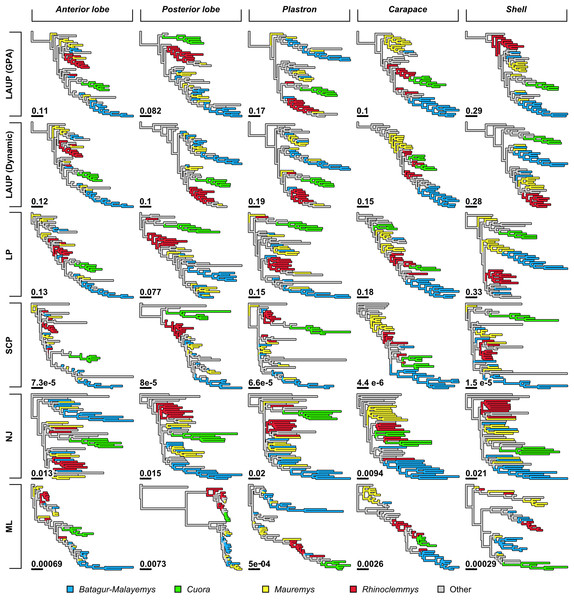 Trees found with the different methods and datasets, showing how closely together species of the clades Batagurinae, Cuora, Mauremys, and Rhinoclemmys were found.