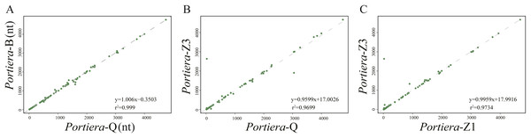 Length associations of orthologous IGSs between different pairs of Portiera genomes.