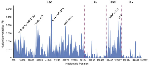 Sliding window analysis of eight Fritillaria cp genomes (window length: 600 bp, step size: 200 bp).