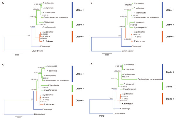 Phylogenetic relationship of nine Fritillaria species inferred from Bayesian analyses (BI), maximum parsimony (MP), and maximum likelihood (ML) of different datasets.