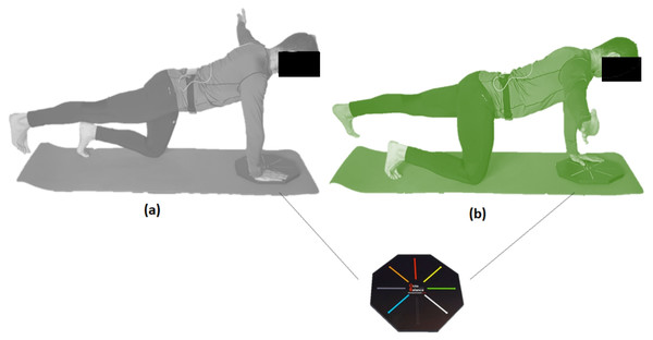 Variation of bird-dog exercise test raising the left (A) and (B) right arm to the side following the direction of the OctoBalance® line.