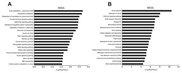 KEGG pathway analysis of abnormal mRNAs between OA and non-OA groups.