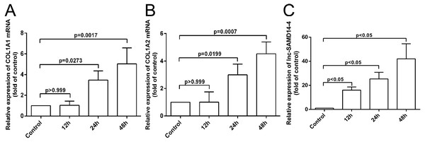 The mRNA levels of COL1A1 (A), COL1A2 (B) and lnc-SAMD14-4 (C) were detected by QPCR in the IL-1 β-treated human primary chondrocytes.