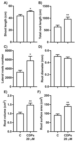 Quantitative effect of cyclodipeptides (CDPs) on 30-day-old maize plants.