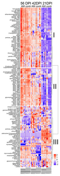 Heatmap of the arbitrary content of identified (at least up to class) metabolites in the youngest completely developed leaf of the pea cv. Finale at different developmental stages.