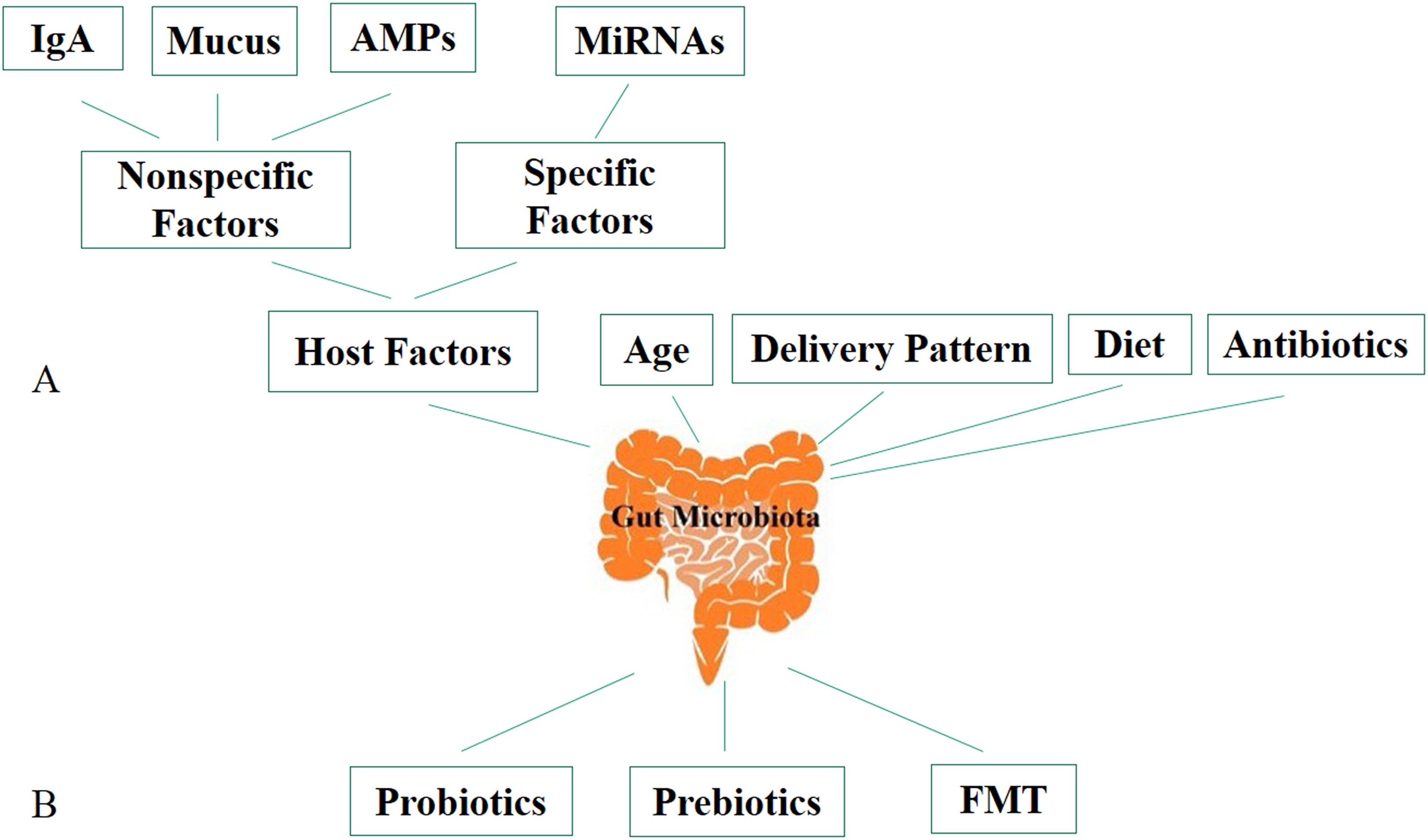 Factors affecting the composition of the gut microbiota, and its modulation  [PeerJ]